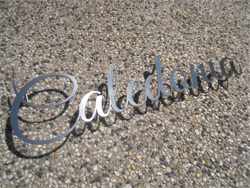 Lasercut Stainless Running Letters with Pins